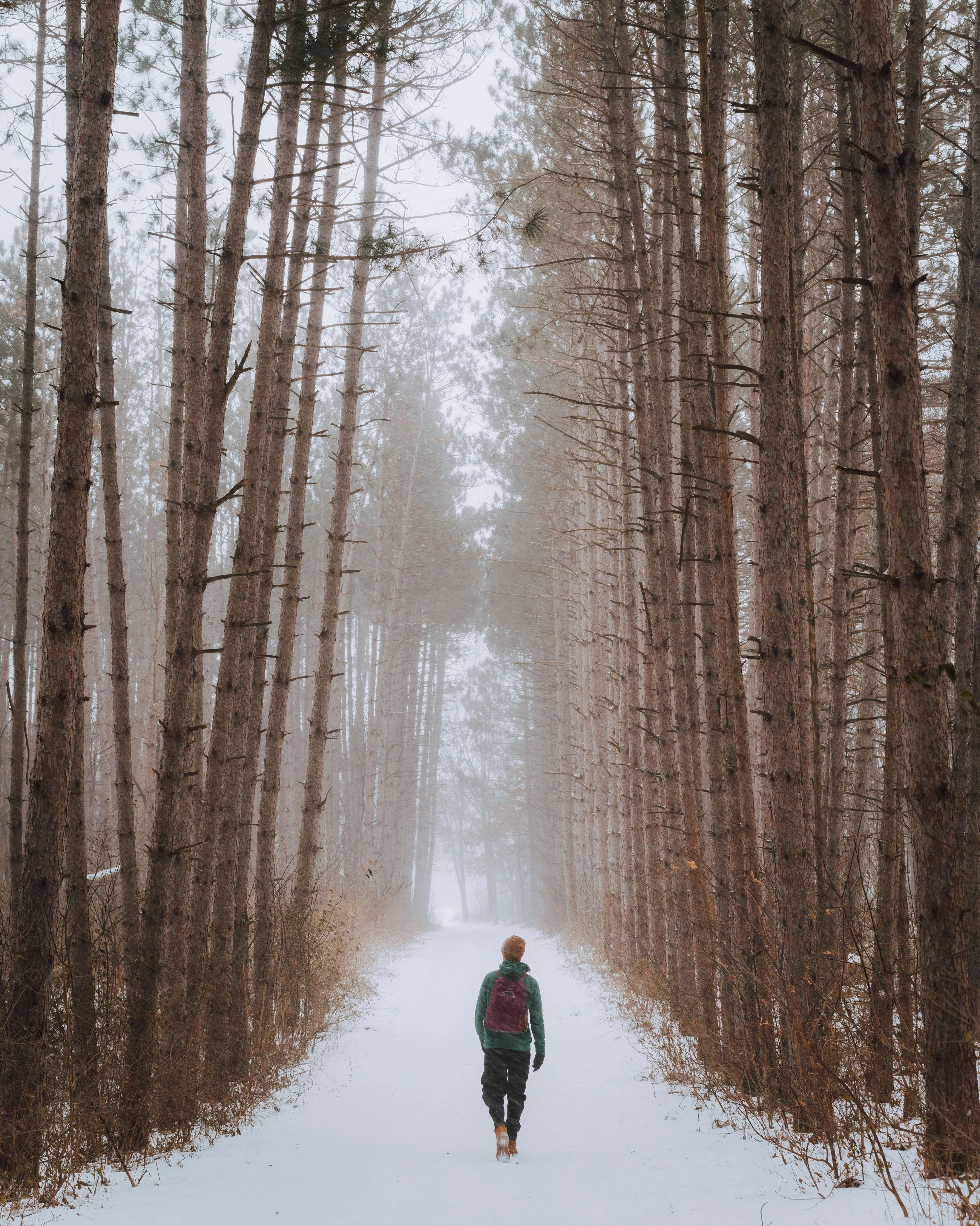 Duluth Pack Standard Laptop Backpack