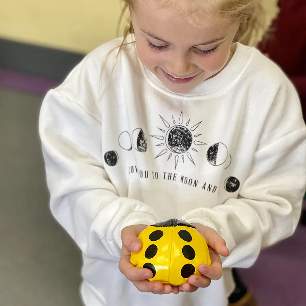 Ladybug Beanbags