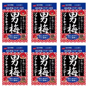 Nobel Otoko Ume Plum Candy Soft Sour Candy 35g (Pack of 6)