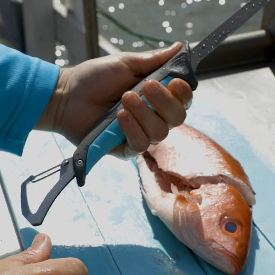 Stowaway Fillet Systems | L \ XL